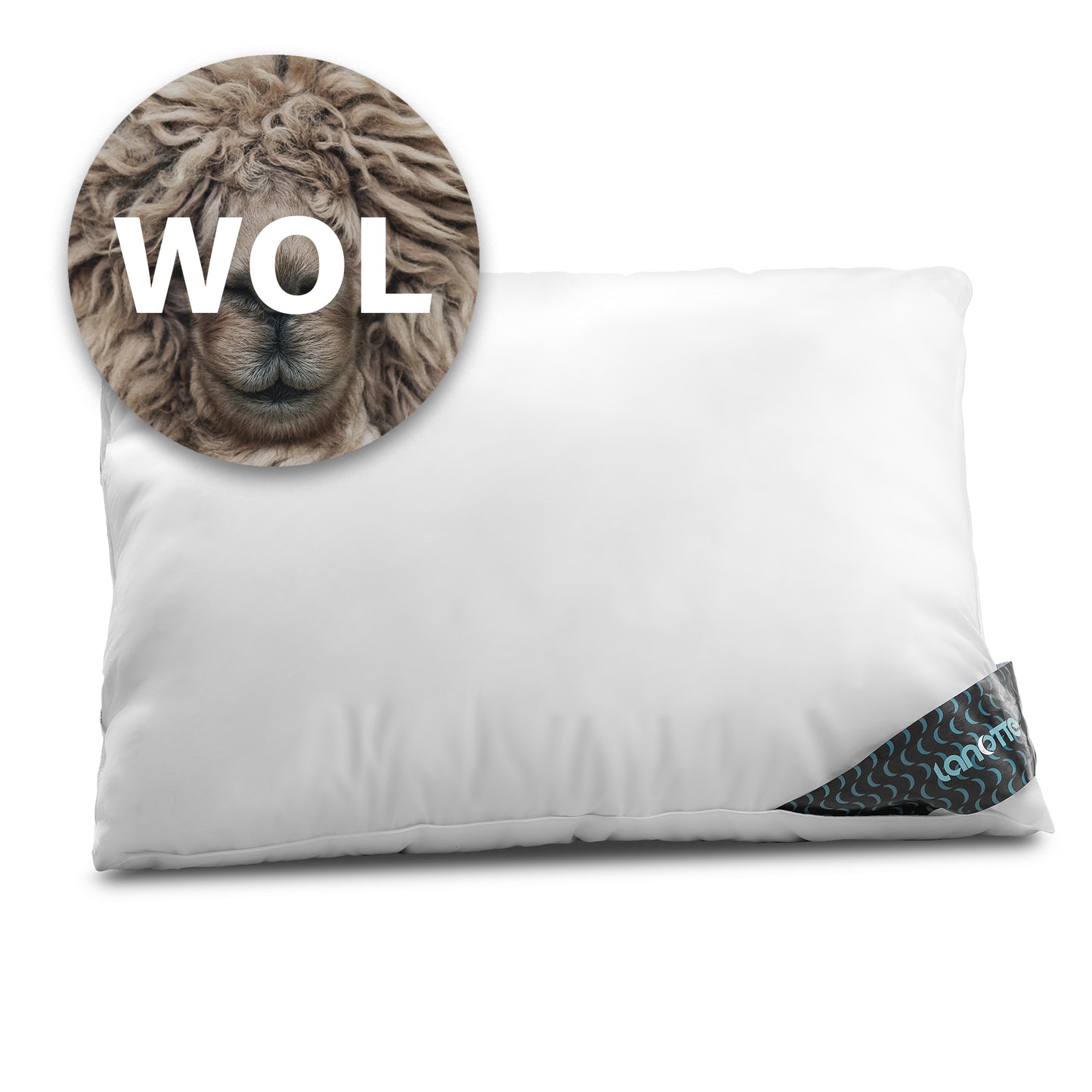 Lanotte® - Hoofdkussen 100% Wol