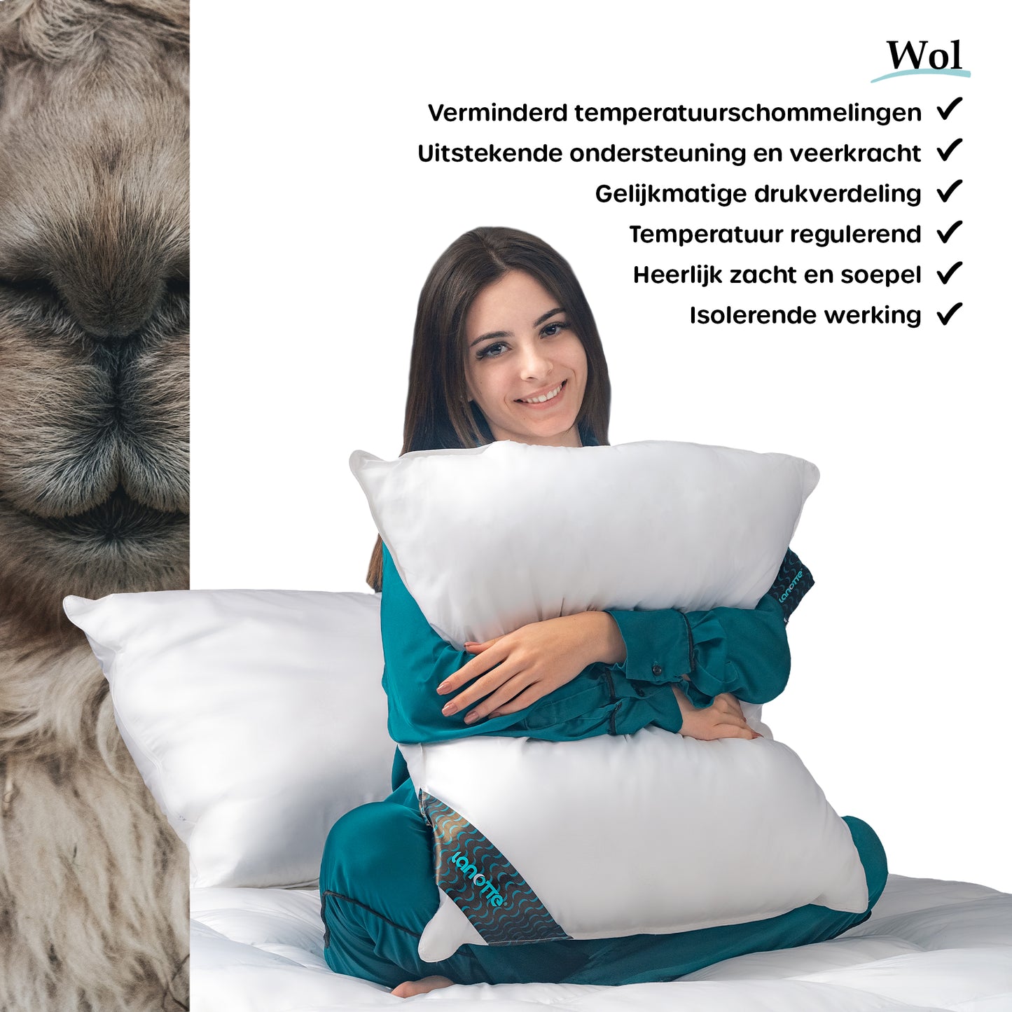 Lanotte® - Hoofdkussen 100% Wol