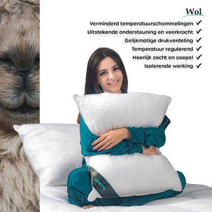 Lanotte® - Hoofdkussen 100% Wol