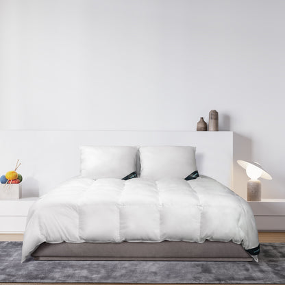 Lanotte® - Hoofdkussen 100% Wol