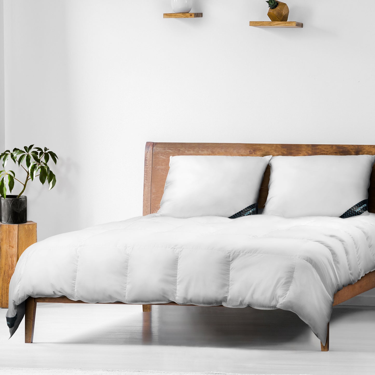 Lanotte® - Hoofdkussen 100% Kapok